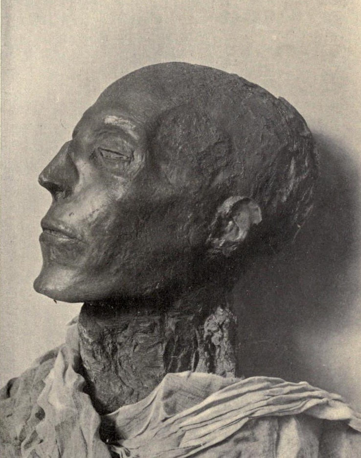 SAMPLE New Kingdom Egypt: Amenhotep III to the Death of Ramses II Resource Book