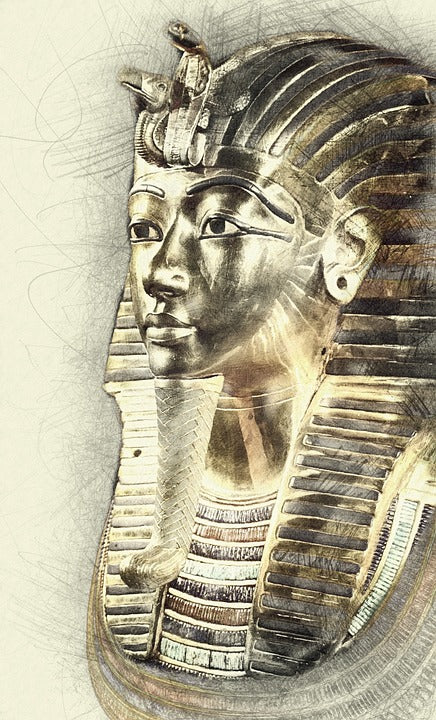 Digging Up The Past: Tutankhamun's Tomb Resource Book