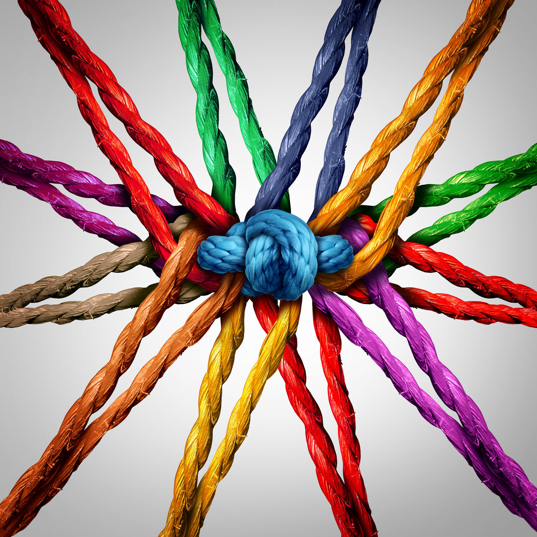 The Geographies of Interconnection Online Unit (One User) - Devine Educational Consultancy Services
