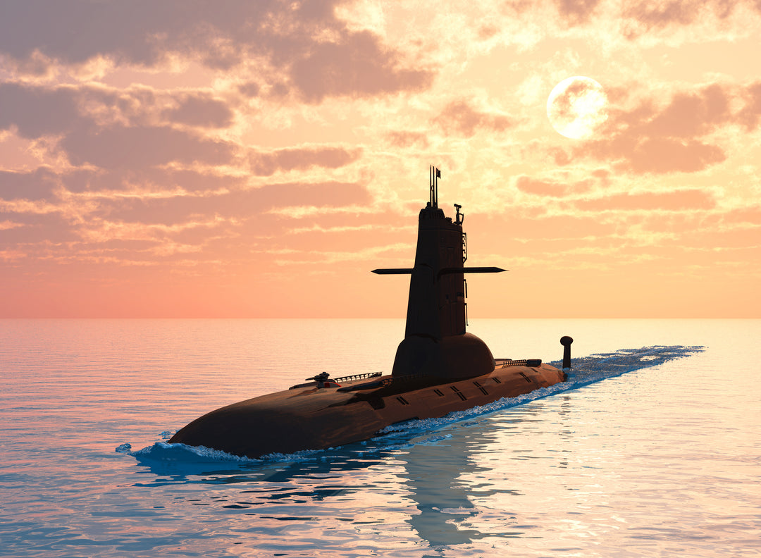 World Wars Subscription (One User) - Devine Educational Consultancy Services