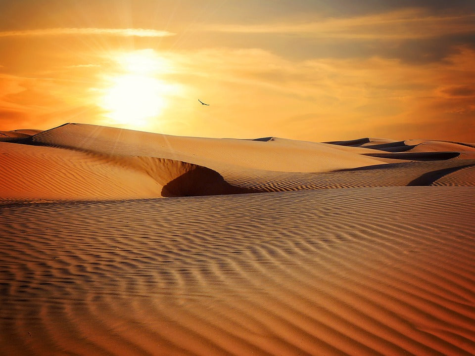 Arid Landscapes Worksheets