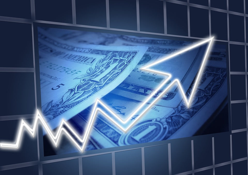 Our Economy Resource Book (Commerce 2019)
