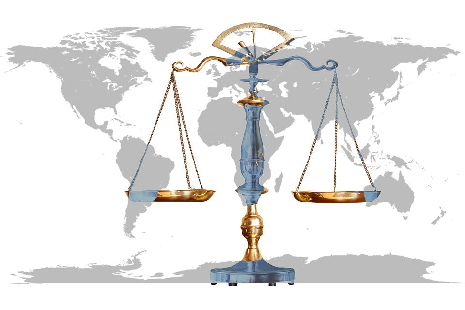 Law, Society & Political Involvement Resource Book (Commerce 2019) - Devine Educational Consultancy Services