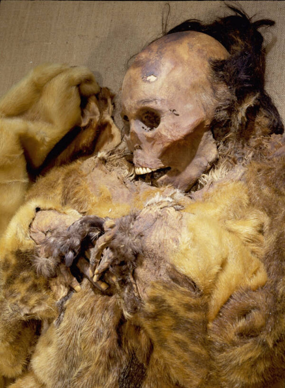 The Treatment & Display of Ancient Human Remains (2nd Edition)