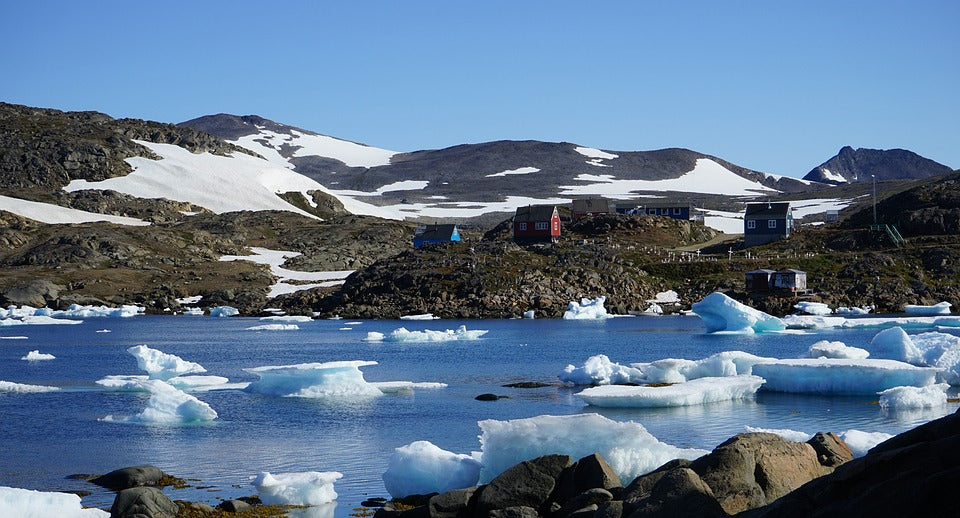 Polar Landscapes Worksheets